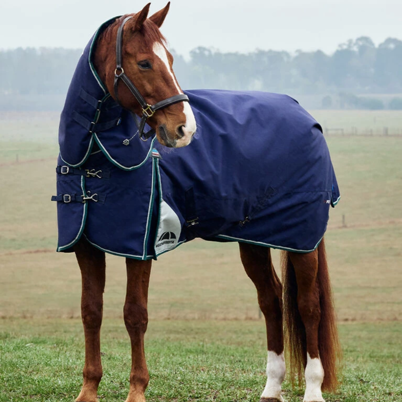 Weatherbeeta Comfitec Plus Dynamic Detach-a-Neck 100g Rug in Navy/Forest Green-1